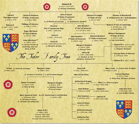 tudor the family story|history of the tudor family.